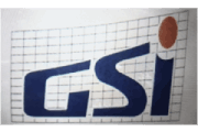 gsi logo